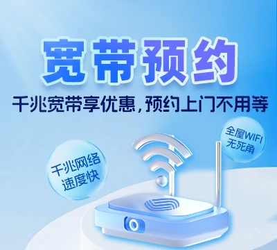 诏安县金星乡
